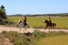 Portugal-Alentejo / Blue Coast-Bottlenose Escape